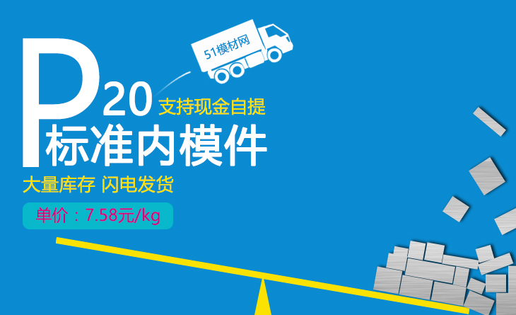 P20标准内模件